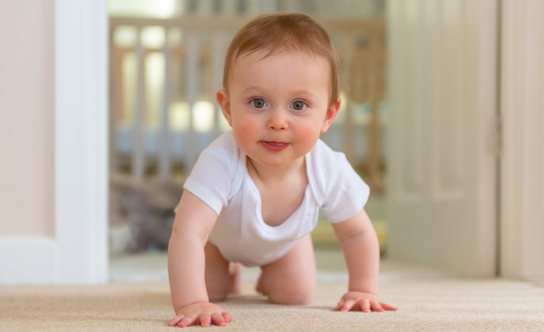 ¿Cómo estimular el desarrollo del bebé a los ocho meses de vida?
